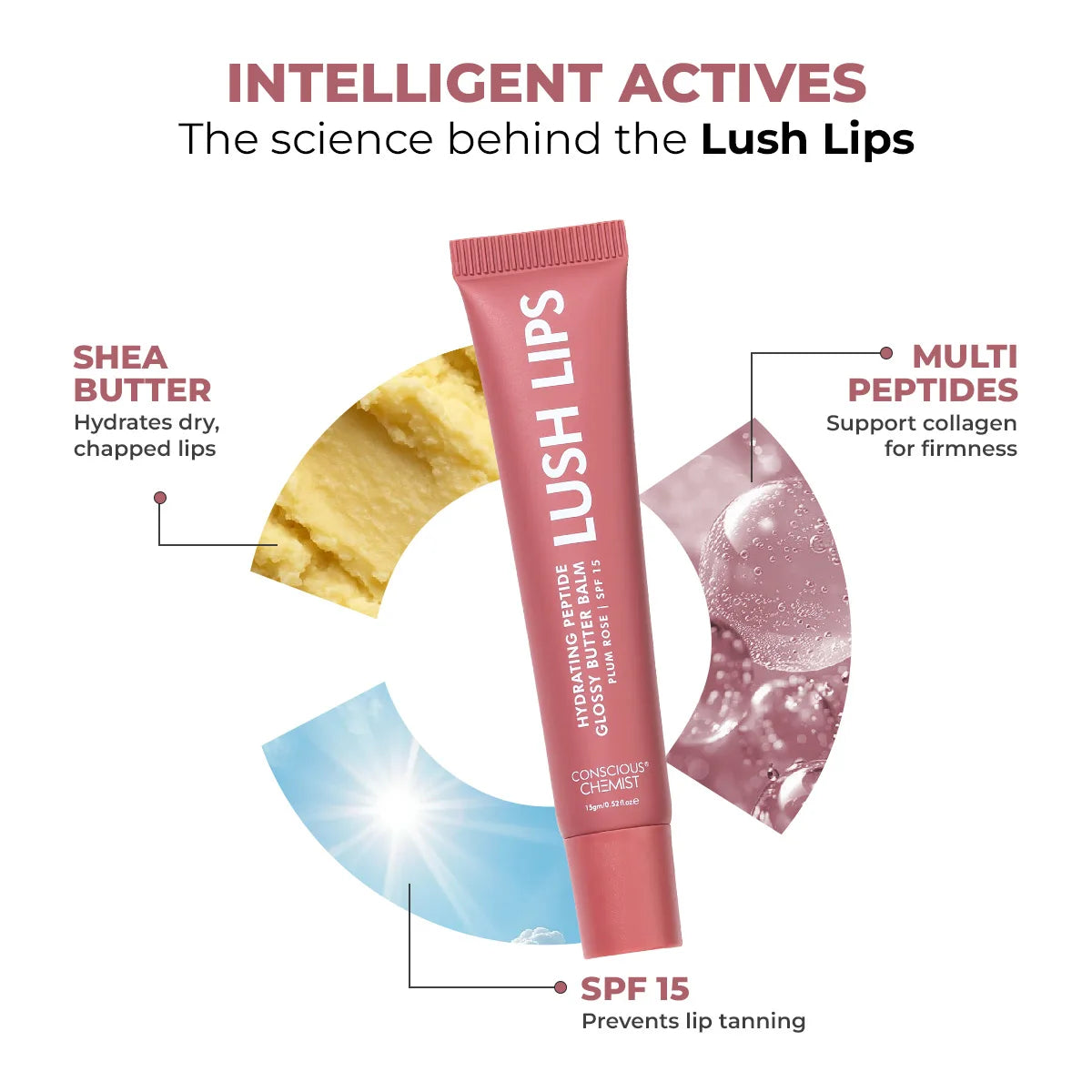 Glossy Peptide Lip Balm | Plum Rose | Hydrates & Plumps | Lush Lips - 15 Gms