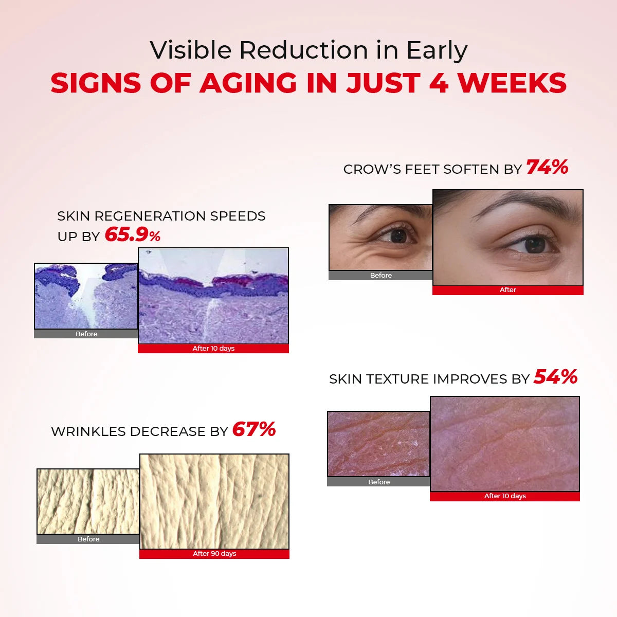 6 Peptide Booster Complex