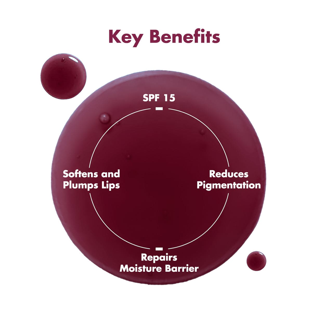 Glossy Peptide Lip Balm | 12 Hrs. Hydration | Pack Of Three | 3 x 15 gm | Special Deal