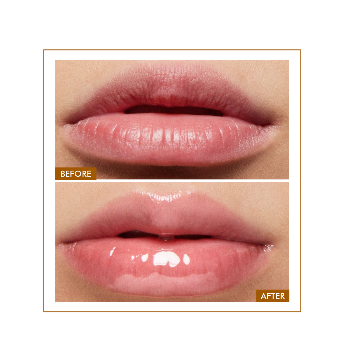 Glossy Peptide Lip Balm | 12 Hrs Hydration | 15 gms | Slashed