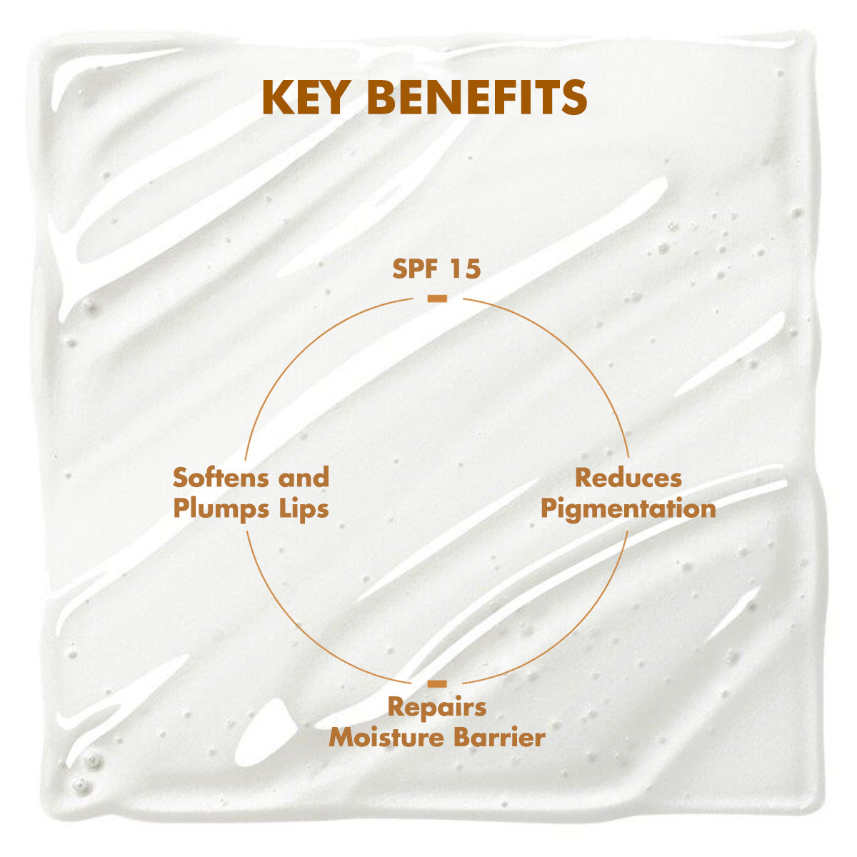 Glossy Peptide Lip Balm | 12 Hrs Hydration | 15 gms