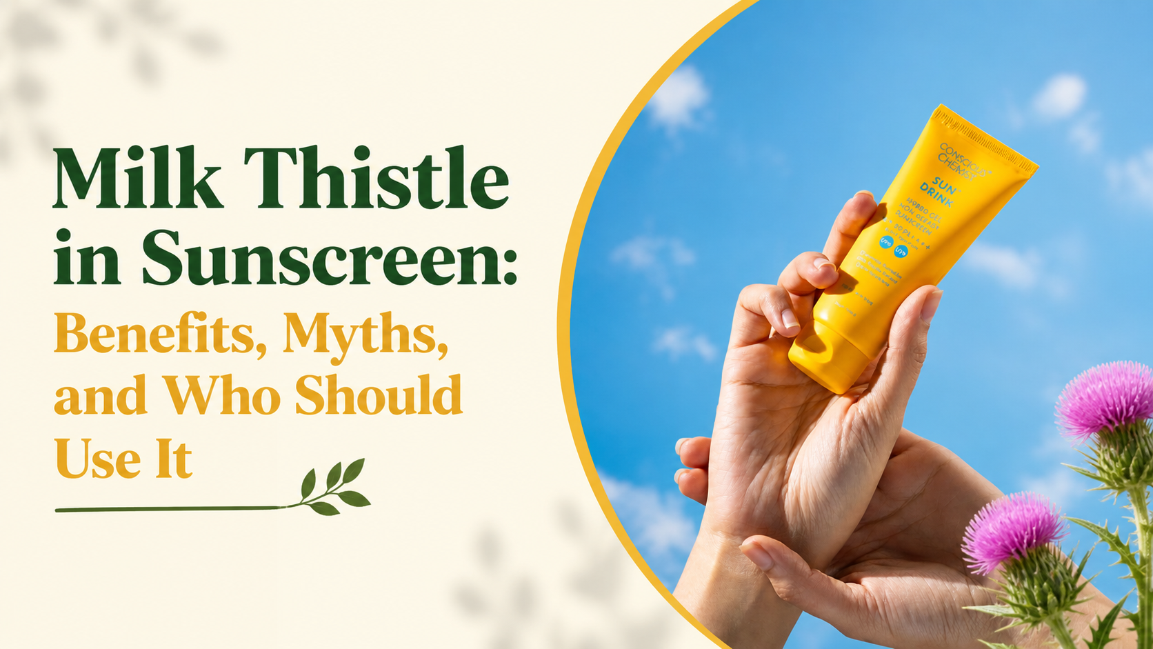 Milk Thistle in Sunscreen: Benefits, Myths, and Who Should Use It