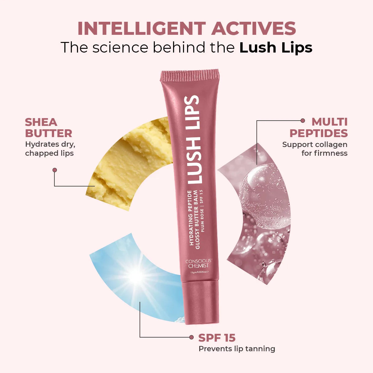 Glossy Peptide Lip Balm | Plum Rose | Hydrates & Plumps | 15 Gms