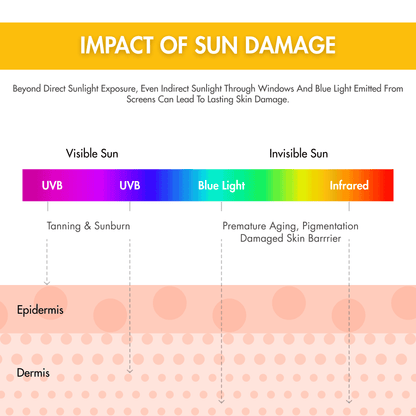 Ceramide Sunscreen | SPF50 PA++++ | Dewy, Lightweight, & Oil-Free | 50 gm