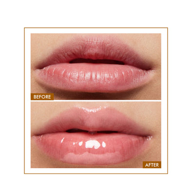 Glossy Peptide Lip Balm | 12 Hrs Hydration | Sale