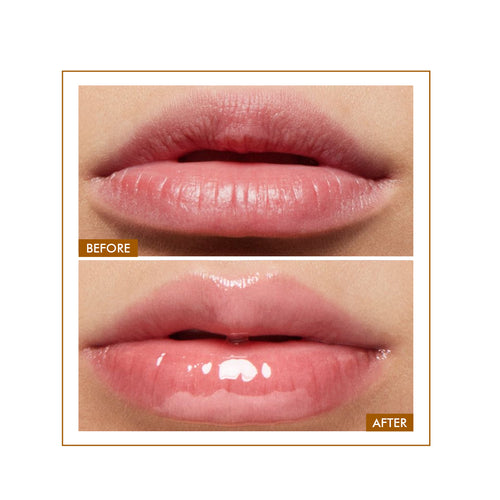 Glossy Peptide Lip Balm | 12 Hrs Hydration | 15 gms | Flash Sale
