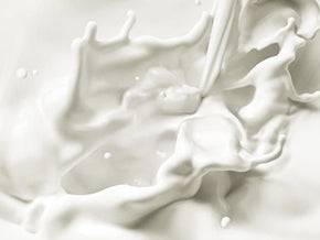Milk Protein