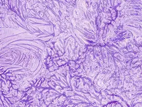 MILK THISTLE EXTRACT